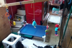 pen-set-up